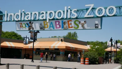 Chimpanzee escapes exhibit at Indianapolis zoo, prompting temporary lockdown
