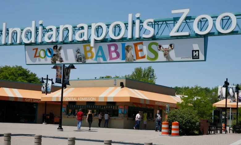 Chimpanzee escapes exhibit at Indianapolis zoo, prompting temporary lockdown