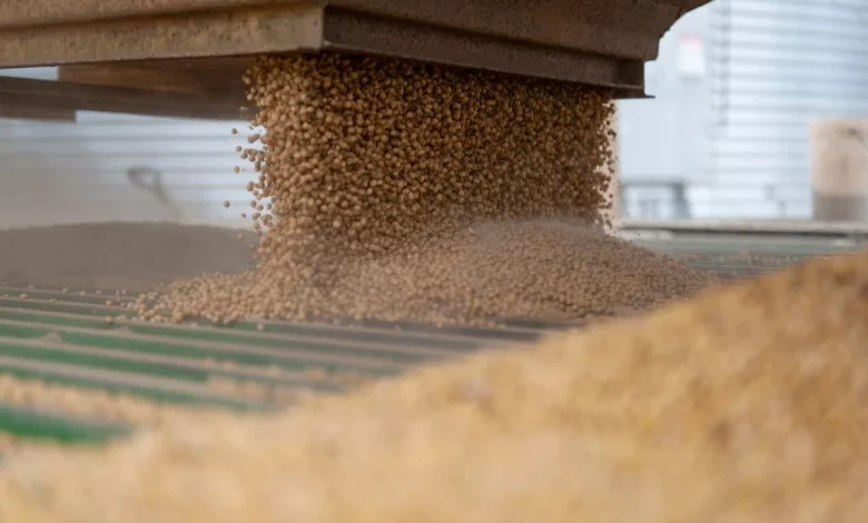 China Ends Levies on US Farm Goods After Fentanyl Duties Cut