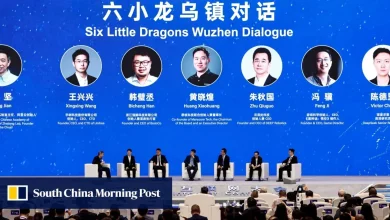 China’s DeepSeek makes rare comment, calls for AI ‘whistle-blower’ on job losses