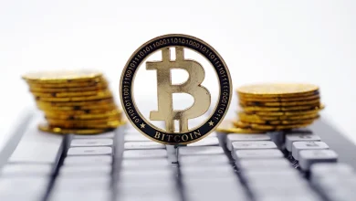 China's National Computer Virus Emergency Response Center issues technical analysis over US govt bitcoins seizure, calling it a typical case of 'thieves falling out'