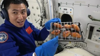 Chinese space oven puts chicken wings on the menu