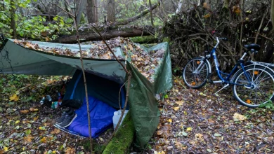 Christian Brueckner's new woodland lair discovered as two female 'helpers' with pitbull guard Maddie suspect's lair