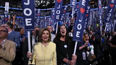 Christine Pelosi is running for office, but not for her mom's congressional seat