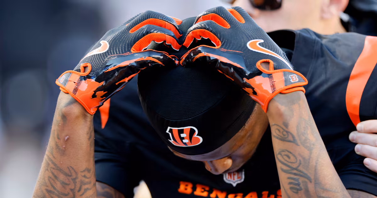 Cincinnati Bengals' Tee Higgins suffers concussion after hard fall to turf