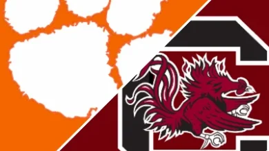Clemson 28-14 South Carolina (Nov 29, 2025) Game Recap