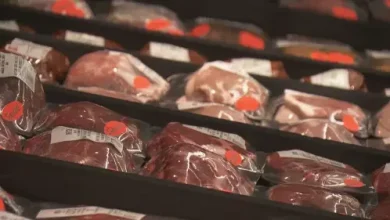 Cloned meat set to enter Canada
