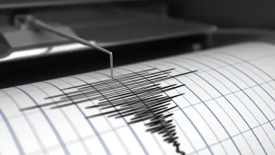 Cluster of earthquakes shakes the East Bay
