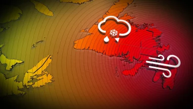Coastal flooding, power outages over Newfoundland as 'weather bomb' hits hard