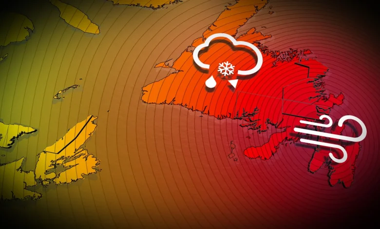 Coastal flooding, power outages over Newfoundland as 'weather bomb' hits hard