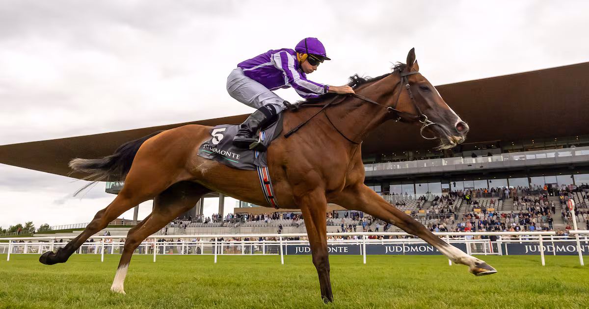 Codes collide for rare clash of Aidan O’Brien and Willie Mullins in Breeders’ Cup feature