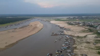Comment des lacs d’Amazonie ont pu devenir aussi chauds que des bains de source thermale