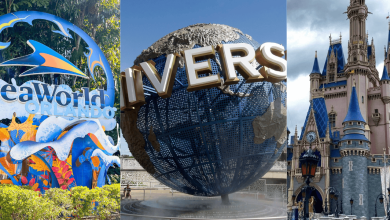 Comments for Orlando Theme Park Implements Immediate Ban on Certain Mobility Support Devices