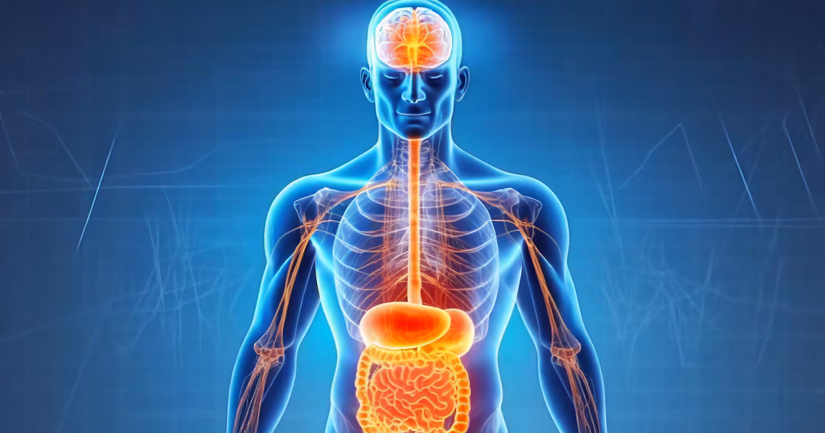 Cómo la salud intestinal y la alimentación influyen en el estado de ánimo, según expertos