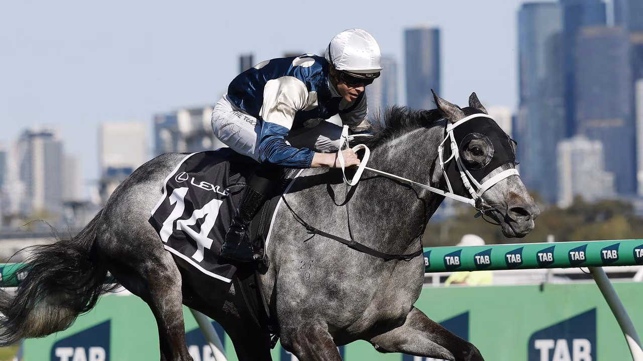 Complete guide to the 2025 Melbourne Cup