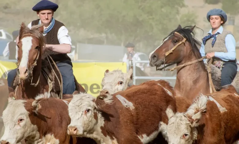 Con récord de participantes se disputará en El Calafate el Aparte Campero