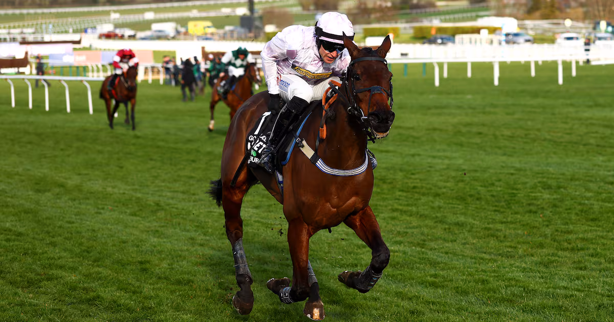 Constitution Hill falls again as Golden Ace storms to Fighting Fifth Hurdle win