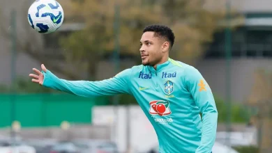 Convocados do Palmeiras retornam e serão avaliados; veja cenário