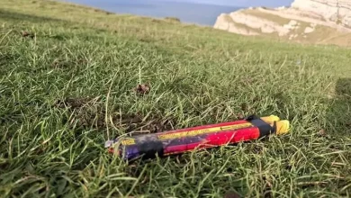 Conwy Council Issues Urgent Plea to Stop Private Fireworks Displays on Great Orme Due to Ecological Concerns