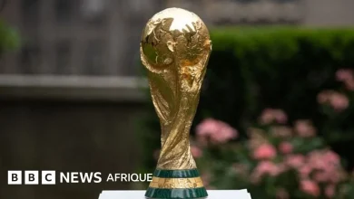 Coupe du Monde 2026 : Quels sont les pays déjà qualifiés ?