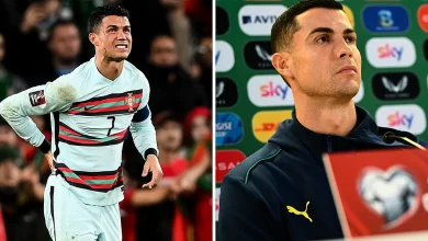 Cristiano Ronaldo Hails Passion Of Ireland Fans Despite "No Boo" Plea
