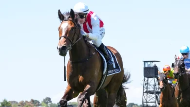 Crown Oaks 2025 form guide: 'Soft' win for red-hot favourite opens door for outsider in $1 million race