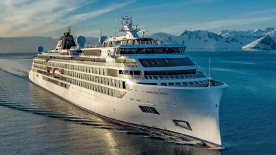 Cruise Stock Close To Early Buy Point Is Rare Winner In The Industry