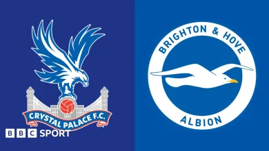 Crystal Palace vs Brighton & Hove Albion: Premier League preview, team news, stats & head-to-head