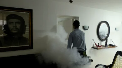 Cuban authorities battle wave of mosquito-borne illnesses