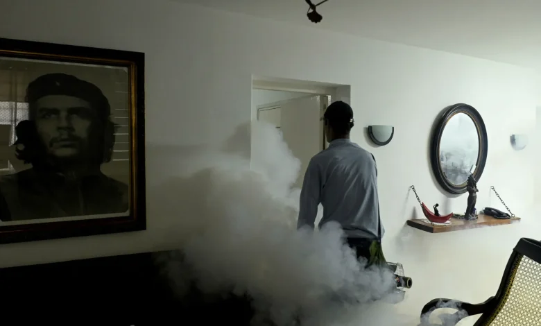 Cuban authorities battle wave of mosquito-borne illnesses