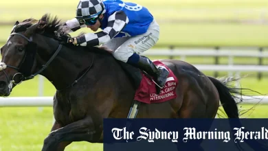 Cup betting intrigue: One Kiwi punter stands to win $730,000 from $7