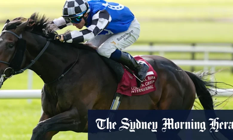 Cup betting intrigue: One Kiwi punter stands to win $730,000 from $7