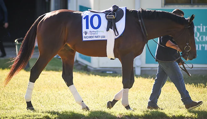 Cup challenge excites Velazquez