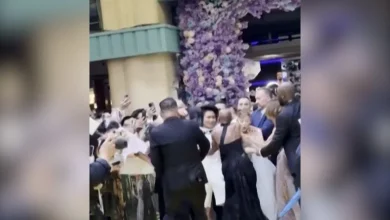 Cynthia Erivo shields Ariana Grande from barrier-jumping fan