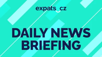 Czech news in brief for November 20: Thursday's top morning headlines