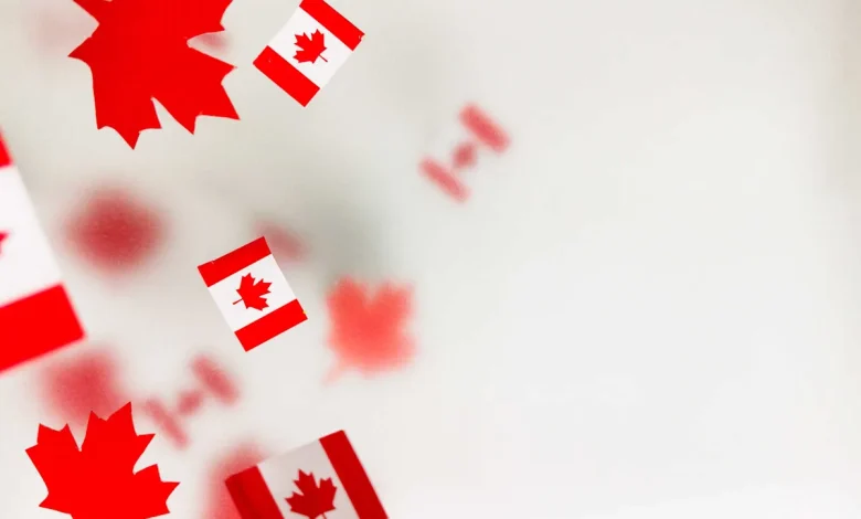 DIY Investing for Canadians: How Beginners Can Get Started With Homegrown Stocks