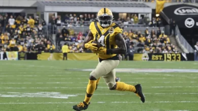 DK Metcalf injury update: Latest news on Steelers WR's status in Week 12 game
