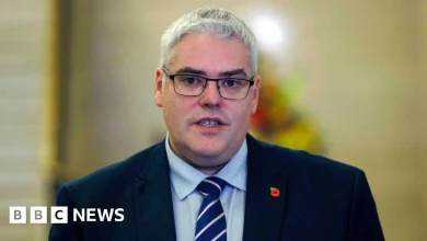 DUP absence from Connolly inauguration 'not a snub' says Robinson