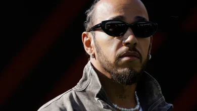 Damon Hill questions Lewis Hamilton's reputation as a 'clean racer' after seeing worrying pattern