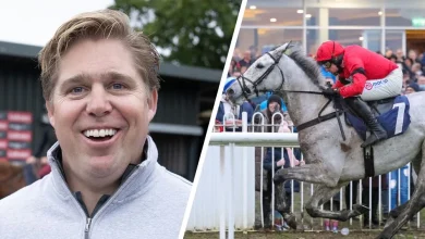 Dan Skelton is eyeing up another big weekend - but who are his main contenders at Ascot and Haydock on Saturday?
