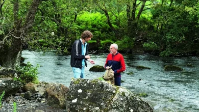 Daniel Day-Lewis film ‘Anemone’ set for release this week