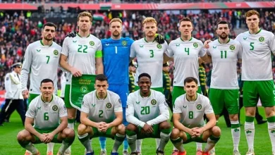 Daniel McDonnell: With Budapest boys hailing from nine counties, Ireland squad truly represents the nation