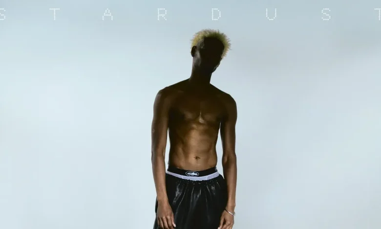 Danny Brown: Stardust Album Review