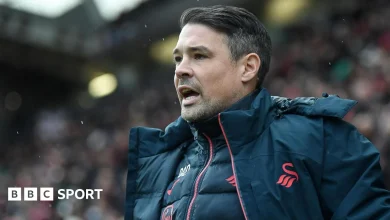 Darren O'Dea: Swansea City caretaker boss in dark about future