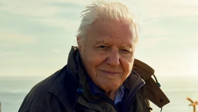 David Attenborough: A Legacy of Storytelling and Environmental Advocacy