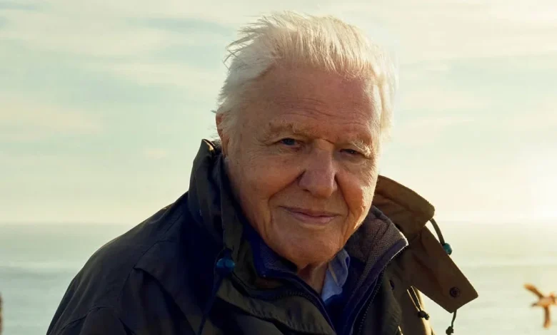 David Attenborough: A Legacy of Storytelling and Environmental Advocacy