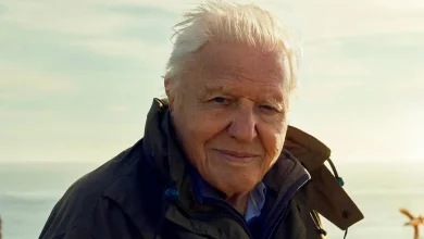 David Attenborough: A Life of Influence and Vision