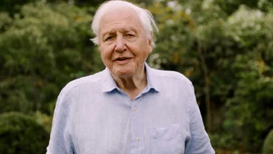 David Attenborough backs nature recovery project the size of Athens