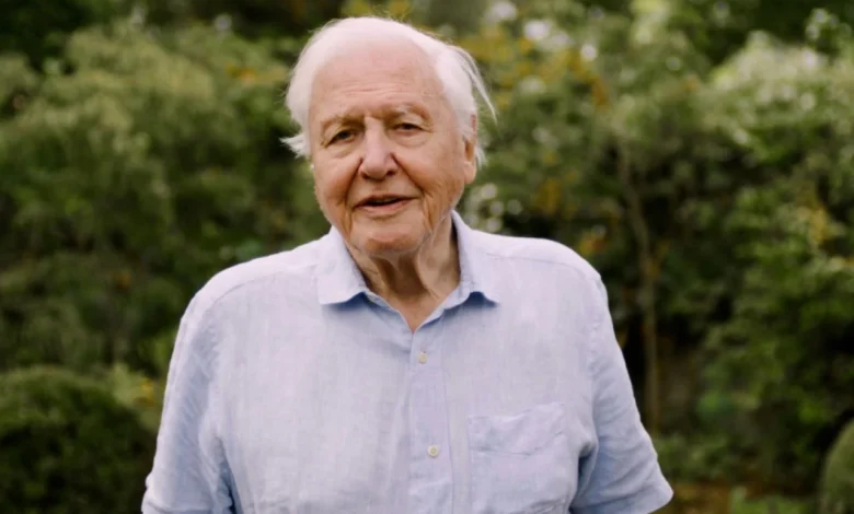 David Attenborough backs nature recovery project the size of Athens