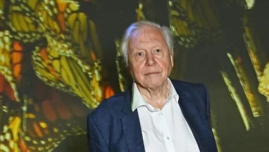 David Attenborough’s wife and the devastating call that ended 47-year marriage